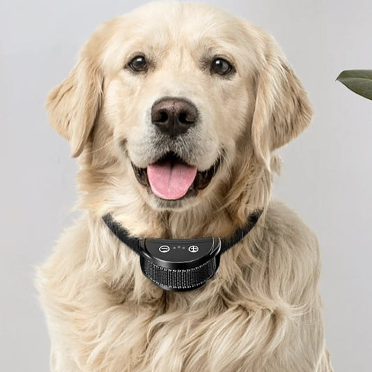 202f3ad31b56e2324a95e8f981f37c6b